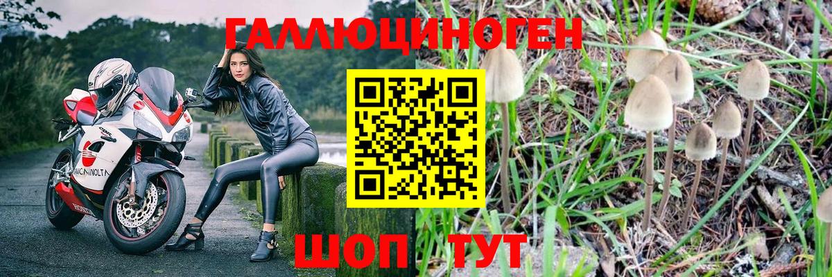 Псилоцибиновые грибы мухоморы  цена   Кузнецк  Вход с VPN 